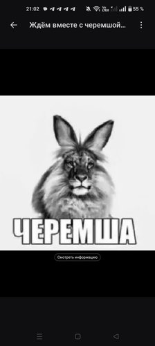 Обложка теста Кто ты в школе?) 